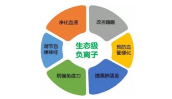 東鵬空氣凈化磚第三方測評 真能改善室內環境與市容嗎？